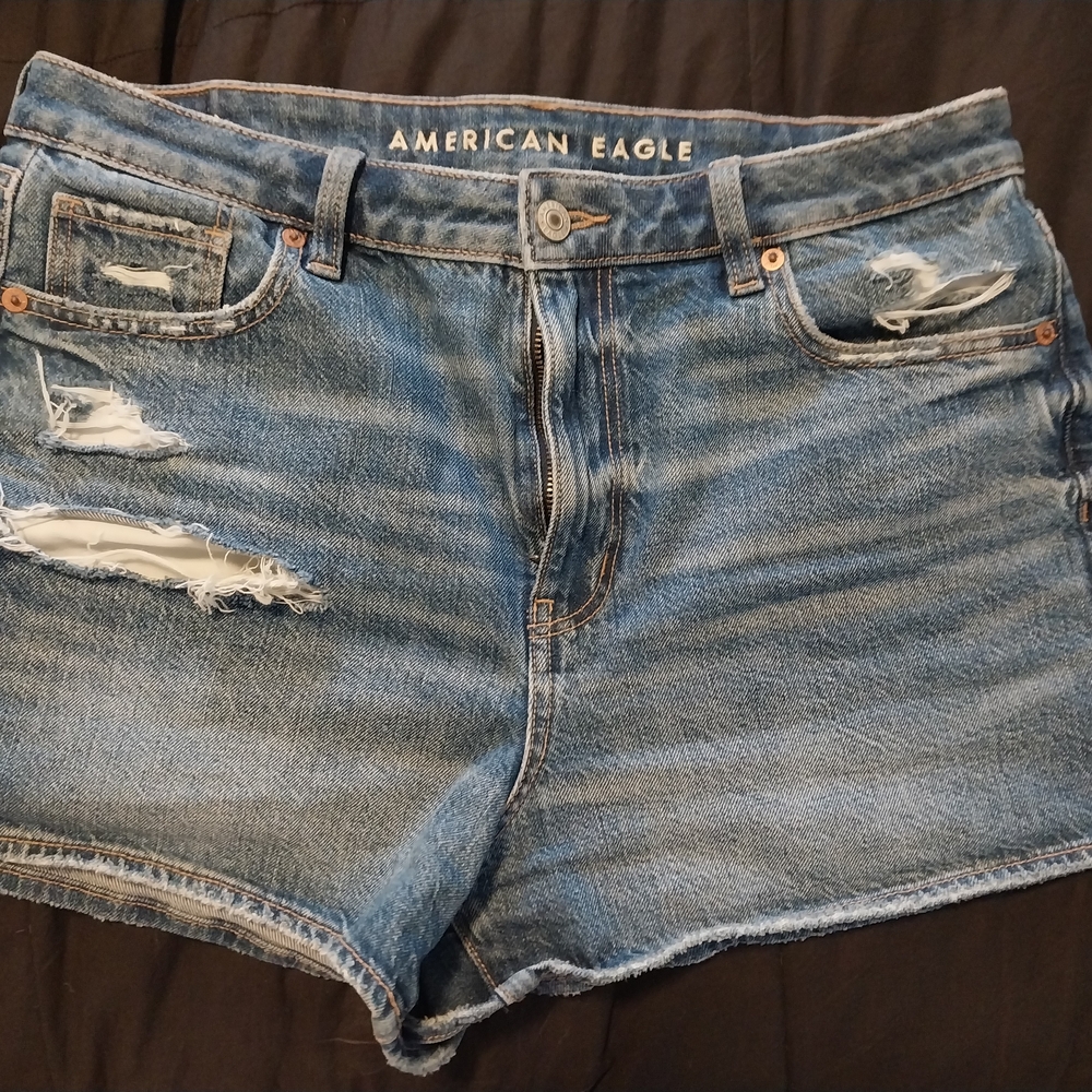 American Eagle Outfitters Distressed Blue Jean Shorts - Size 10